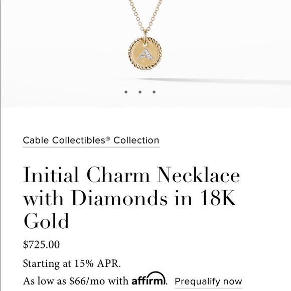 David Yurman Jewelry - David Yurman necklace